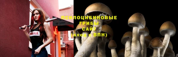 хмурый Балабаново