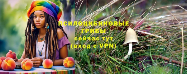хмурый Балабаново