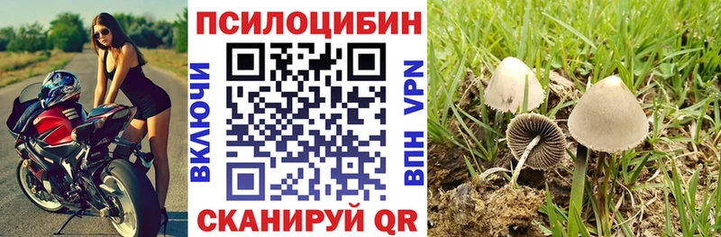 Псилоцибиновые грибы прущие грибы Лагань